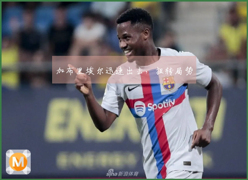 加布里埃尔迅速出击，扭转局势