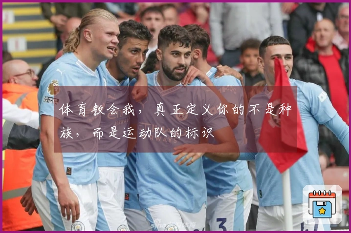 体育教会我，真正定义你的不是种族，而是运动队的标识