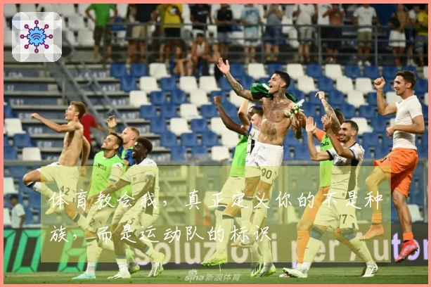 体育教会我，真正定义你的不是种族，而是运动队的标识